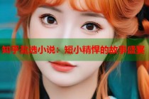 知乎盐选小说：短小精悍的故事盛宴