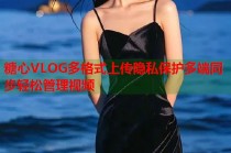 糖心VLOG多格式上传隐私保护多端同步轻松管理视频