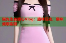 猫先生的糖心Vlog：趣味互动、猫咪健康监测