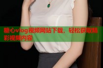 糖心vlog视频网站下载，轻松获取精彩视频内容