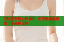 在线观看糖心风暴3：免费流媒体播放，多语种支持