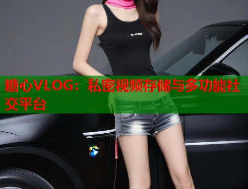 糖心VLOG：私密视频存储与多功能社交平台  第1张