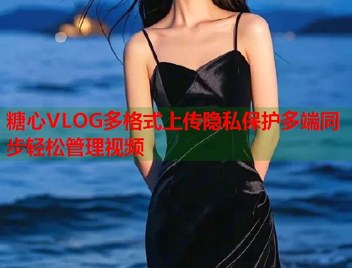 糖心VLOG多格式上传隐私保护多端同步轻松管理视频  第1张
