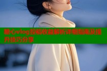 糖心vlog投稿收益解析详细指南及提升技巧分享