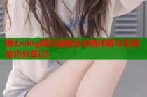 糖心vlog网页破解全攻略详解与实用技巧分享(2)