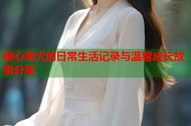 糖心柴犬的日常生活记录与温馨成长故事分享