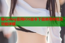 糖心vlog官网iOS版本下载使用体验及功能详解