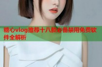 糖心vlog推荐十八款必备禁用免费软件全解析