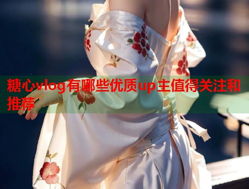 糖心vlog有哪些优质up主值得关注和推荐  第1张